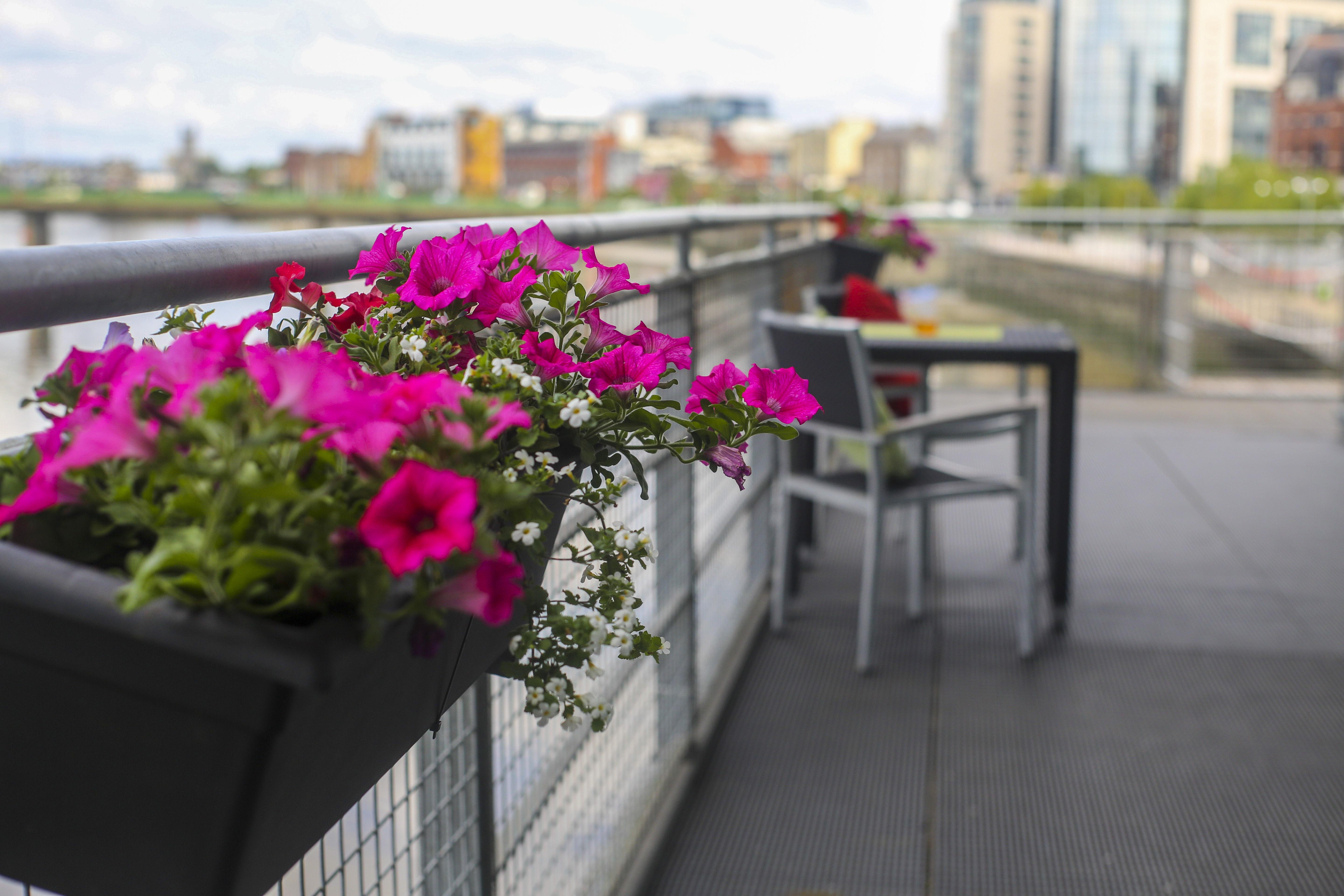 Clayton Hotel Limerick Junction Eksteriør bilde